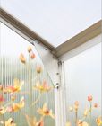 8x6, 8x8, 10x10 Polycarbonate nhỏ Sở thích Greenhouses / nhà kính trang trí Durable