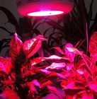 90W-GU Hydroponics &amp;amp; Làm Vườn &amp;amp; nhà kính dẫn phát triển đèn cho cây trồng trong nhà