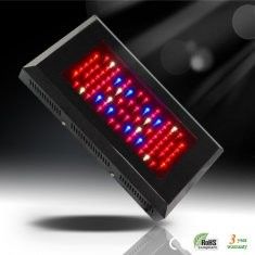 Mới tiết kiệm năng lượng trong nhà kính RCG80 * 3W / 630mA LED Grow Nhà máy Light for Sale