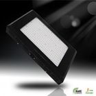 Tiết kiệm năng lượng LED Trồng Lights Nhà máy RCG288 * 3W cho Hydroponics nhà kính