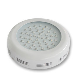 công suất cao Plant LED Grow nhẹ 3watt Môi trường thân thiện 85 - 265v CRI&gt; 80