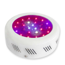 Hoa thực vật LED Grow nhẹ 3watt sinh trưởng thực vật Với ​​50.000 giờ dài tuổi thọ