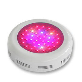 Màu xanh Spectrum Plant LED Grow nhẹ 3w nhôm, đèn LED tăng trưởng thực vật
