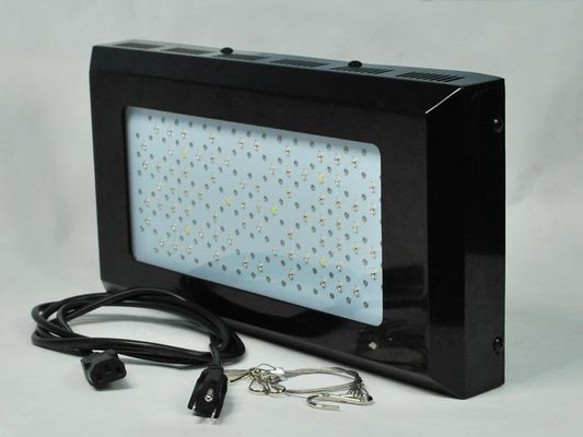 Cường độ cao đỏ và cây đèn LED xanh Grow Ligh 3watt Đối với rau trong nhà vườn chiếu sáng