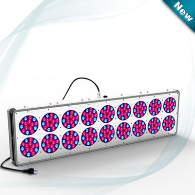 Xanh Đỏ Hydroponics LED Grow ánh sáng 630nm / 460nm 612W ~ 644W DC 32 ~ 45v, đèn LED Plant Grow đèn