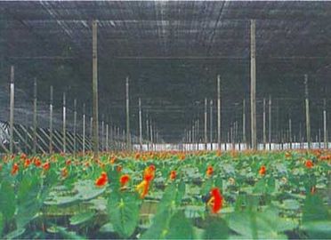 Nông nghiệp Nhà kính Shade Netting, 2 x 100m, 30gsm - 300gsm