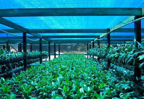 Greenhouse Shade Net, nông nghiệp Shade vải Đối với hoa trang trại