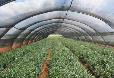 HDPE chống UV Shade nhà kính Roof Netting, polyethylene Shade Net