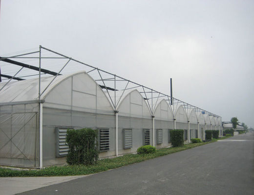4000mm mục phim nhựa kính thương, 8000 mm khoảng