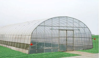 Tùy chỉnh năng lượng tiết kiệm nhà kính thương, 8000 mm khoảng hầm nhà kính