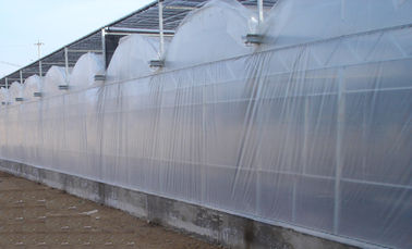 9600mm khoảng kính thương mại, phim lạm phát không khí 4000mm phần Venlo nhà kính