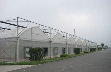 8000 mm khoảng gothic phong cách nhà kính thương mại với phim lạm phát không khí, 3000mm phần