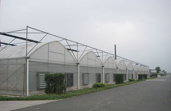 8000 mm khoảng phim lạm phát không khí theo phong cách gothic nhà kính, phần 4000mm