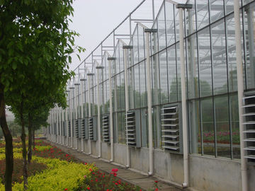 4000mm phần đa - span kính thủy tinh thương mại cho nông nghiệp