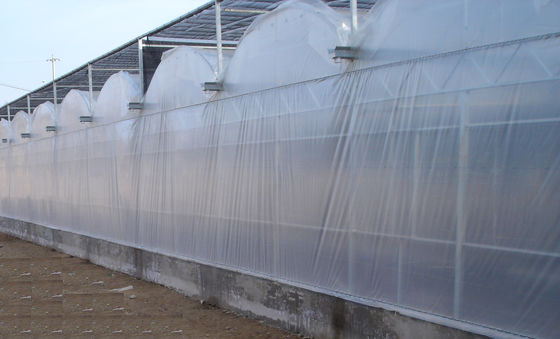 4000mm phần phim nhà kính venlo lạm phát không khí, khoảng 10800mm / 3 gờ mỗi khoảng