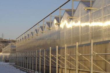 3 gờ mỗi nhịp cầu đa - nhà kính thương mại khoảng polycarbonate, 4000mm phần