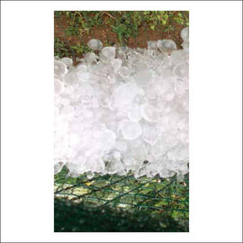 42 Gram Đen &amp; Xanh Bifiliment Cơ cấu nông nghiệp Netting, chống Hail Nets