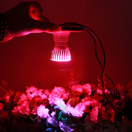 800lm 380nm - 730nm nhà kính có hoa Led Grow nhẹ IP44 Đối với nhà