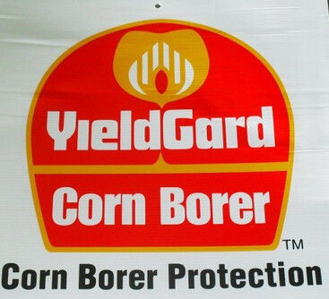Ban Đăng PP in Tấm nhựa / nhựa Correx Đăng / ngoài trời Yard Sign