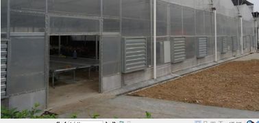 Greenhouse mô hình phim EU