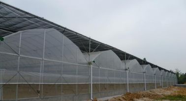 Greenhouse mô hình phim EU