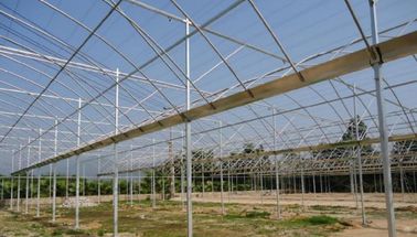Greenhouse mô hình phim EU