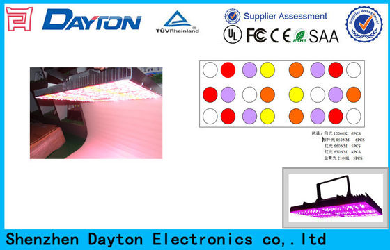 Thương 480W High Power Led Grow Lights Đối Cây trong nhà