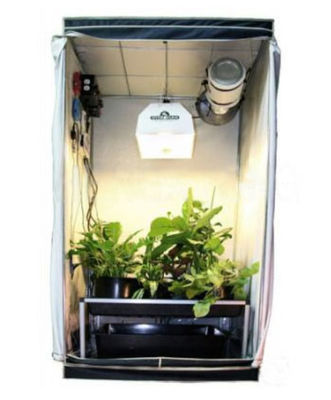 120x120x200cm Greenhouse Hydroponics Mylar Grow Tent Với ​​95% số phản xạ ánh sáng