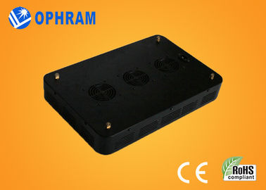 High Power IP20 Full Spectrum LED Grow Lights cho cây con / lá