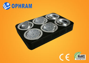 High Power IP20 Full Spectrum LED Grow Lights cho cây con / lá