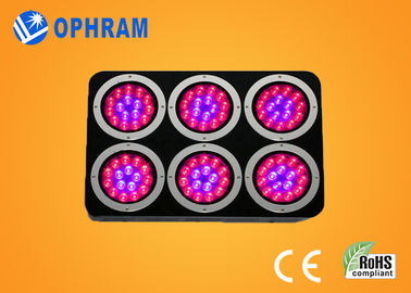 High Power IP20 Full Spectrum LED Grow Lights cho cây con / lá