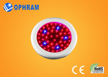 Epistar IP20 50W Full Spectrum LED Grow Lights cho Hoa AC85-265V