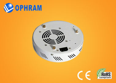 Epistar IP20 50W Full Spectrum LED Grow Lights cho Hoa AC85-265V