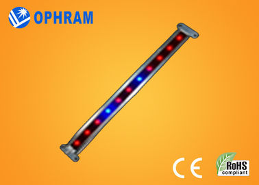 10W SMD 2835 rau / hoa LED Grow Lights với 180 ° tia góc