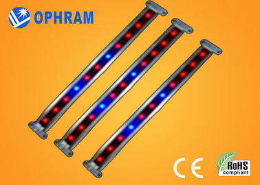 10W SMD 2835 rau / hoa LED Grow Lights với 180 ° tia góc