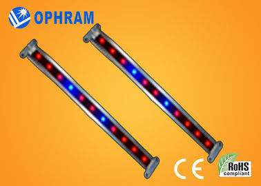 10W SMD 2835 rau / hoa LED Grow Lights với 180 ° tia góc