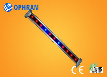 10W SMD 2835 rau / hoa LED Grow Lights với 180 ° tia góc