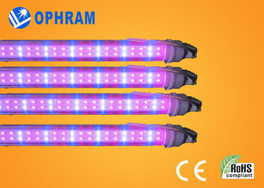 50Hz / 60Hz 230V / 240V Full Spectrum LED Grow Lights Đối với thực vật