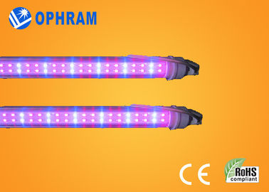 50Hz / 60Hz 230V / 240V Full Spectrum LED Grow Lights Đối với thực vật