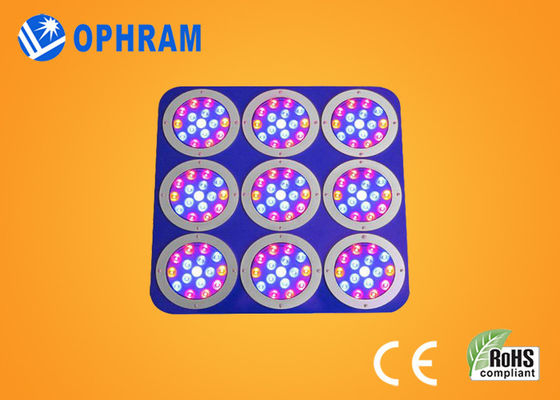 Epistar Red / Blue Full Spectrum LED Grow Lights Với kim loại hợp