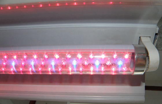 G13 Plant LED Grow Đèn đỏ và xanh Hydroponic cho nhà kính nông nghiệp