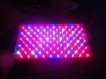 120W nhà kính công suất cao LED Grow nhẹ